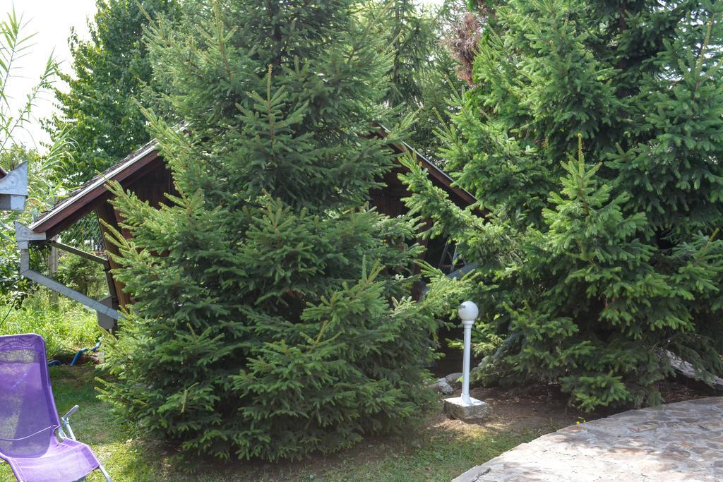 Camping Robinson Country Club Oradea Exterior photo
